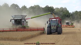 Claas  Fendt  Krampe  Fortuna  Getreideernte  Grain Harvest [upl. by Garibold]