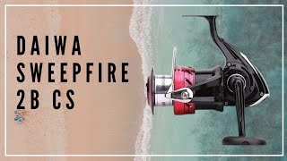 DAIWA Sweepfire 2B CS Disassembly  Teardown [upl. by Nalym]