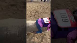 Mutton Bustin 2023 Applications [upl. by Saddler]