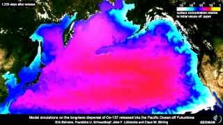 fukushima disaster simulation [upl. by Eldrida467]