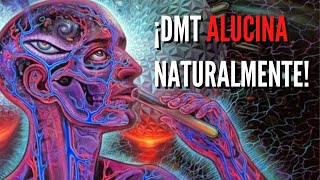 ▶ DMT natural Música para AUTODROGARSE y activar la glándula pineal🤯 ACTIVAR TERCER OJO AL DORMIR [upl. by Amsirac]