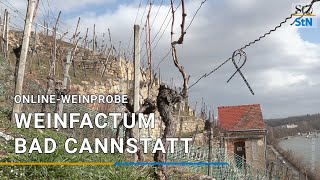 OnlineWeinprobe Weinfactum Bad Cannstatt [upl. by Essenaj123]