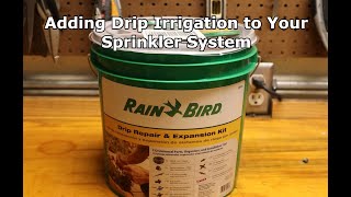 Adding Drip Irrigation to an Underground Sprinkler System [upl. by Fairleigh452]