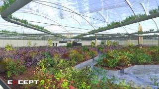 Polydome Sustainable Agriculture [upl. by Arrec]