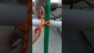 How to tie clove hitch knot shortvideo shorts short [upl. by Bo602]