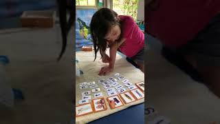 Using Waseca Reading program with a moveable alphabet [upl. by Tirreg]