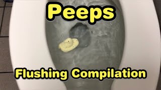 265 Peeps Flushing Compilation [upl. by Atteniuq229]