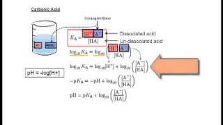 33 HendersonHasselbach Equation [upl. by Crichton]