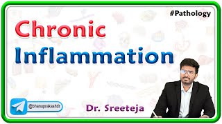 2 Chronic Inflammation  USMLE Step 1 Pathology [upl. by Ycnay]