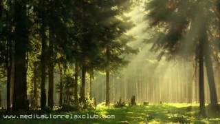 Noise Cancelling Sound Masking White Noise Nature Sounds amp Background Ambient Music [upl. by Gnek]