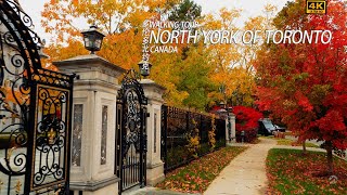 🌺Walking in North York Toronto Where Rich Canadians Live Autumn Colors《4K》 [upl. by Wain]