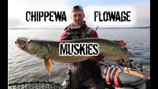 Trolling for Summer Muskies  Chippewa Flowage Hayward Wisconsin [upl. by Herve332]