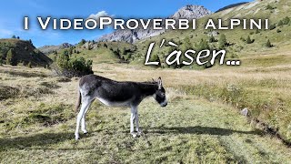 «Làsen» VideoProverbio alpino dialettale sottotitolato in italiano [upl. by Htezil951]