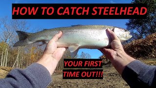 How to CATCH STEELHEAD Your FIRST TIME OUT  Ohio Steelhead  Vermilion River [upl. by Keung]