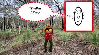 Aboriginal Wiradjuri Language [upl. by Arais173]