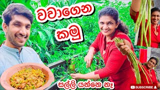 සල්ලි නැතුව මෑ කරල්  Sangeeth VlogsSangeeth Satharasinghe [upl. by Riffle]