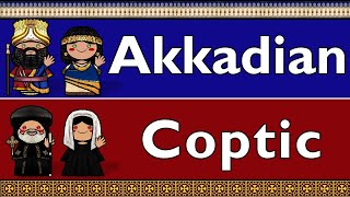 AFROASIATIC AKKADIAN amp COPTIC [upl. by Nuzzi]