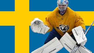 Pro Hockey in Sweden  Cateye Cage My Rookie Season [upl. by Yrrol]