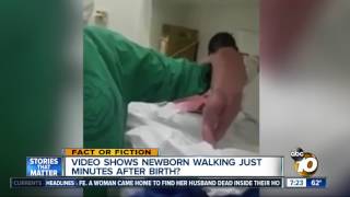 Video shows newborn walking [upl. by Nodnek]