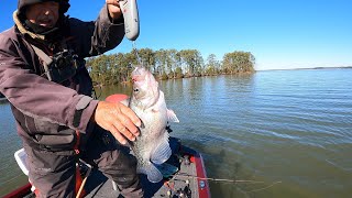 Super Slab Crappie Catch And Cook [upl. by Cinda]