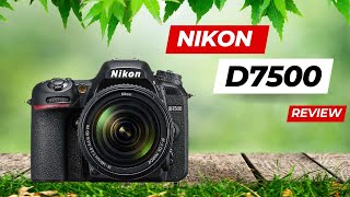 Best Nikon D7500 2023 Review best top [upl. by Ataliah]