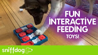 The Best Interactive Feeding Toys Your Dog Needs [upl. by Jessamyn]