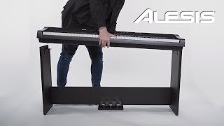 Alesis AHB1 Assembly Guide [upl. by Liuqa]