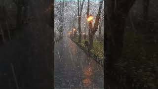 le bruit de la pluie pour dormir dans une rue calme et tranquille naturesounds [upl. by Ettenahs]