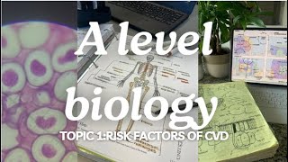 A level biology Edexcel A SNAB Topic 1 Risk Factors of CVD [upl. by Ylek]