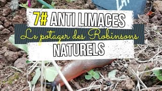 7 3 Astuces naturelles contre les limaces au potager  permaculture [upl. by Meikah]