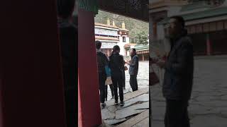 Tibetan Monks chanting 2 Labrang Monastery [upl. by Orecul]