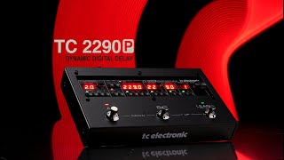 2290 P Dynamic Digital Delay  OFFICIAL VIDEO [upl. by Moscow327]