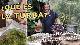 ¿Qué es la TURBA y en qué puede ayudar a mis plantas  Jardinatis [upl. by Dirgis]