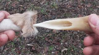 Primitive Tool Kit From a Deer leg [upl. by Currey]