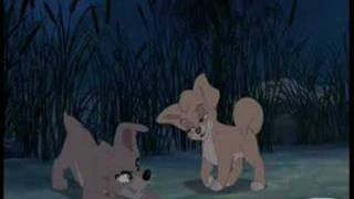 Lady and the Tramp I amp II Music Video  Bella Notte [upl. by Bathsheba]