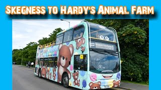 Skegness open top bus  Skegness to Hardys animal Farm Ingoldmells [upl. by Sirron]