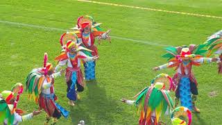 COLECTIVO COREOGRÁFICO INDOAMERICANTO  CARNAVAL PASTO 2018 [upl. by Norahs]