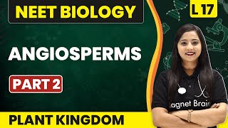 Angiosperms Part 2  Plant Kingdom  L17 Concepts  NEET Biology [upl. by Fabien627]