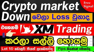 Earn money online superb site 2023 sinhala  Crypto  XM tarding  Binance [upl. by Nannerb]