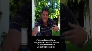 Labus dalcool est dangereux pour la santé à consommer avec modération [upl. by Atnauqahs]