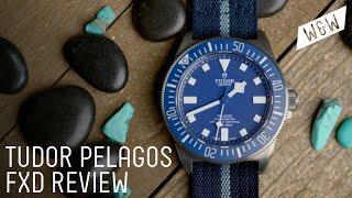 Why The Unexpected Tudor Pelagos FXD Just Works  Worn amp Wound Review [upl. by Alrzc213]