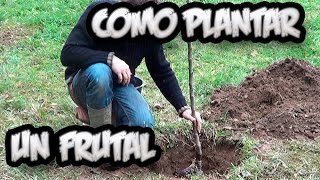 Como Plantar Un Arbol Frutal  Vergel Organico  La Huertina De Toni [upl. by Killam]