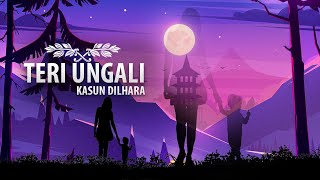 Teri Ungli  Dura Diga Nobala Sinhala amp Hindi Mix Mashup [upl. by Ahgem900]