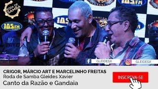 Canto da Razão e Gandaia  Roda de Samba Crigor Márcio Art e Marcelinho Freitas Ao ViVo 105fm [upl. by Harcourt]