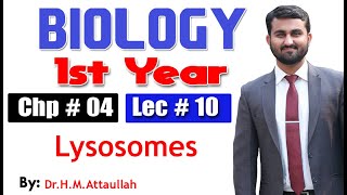 Lysosomes  Chapter 4  1st year Biology  Lec  10 [upl. by Amabel]