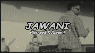 JAWANI Slowed amp Reverb amp Bass Boosted  Nimaan Sidhu  New Lofi Punjabi Song [upl. by Neltiak]