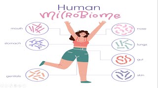 Microflora of Human Body A Symbiotic Relationship Between Microbes And Human  Human Microbiome [upl. by Atrebla]