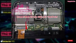 Huawei Mate 20 Lite SNELX1 Test Point [upl. by Anigger]