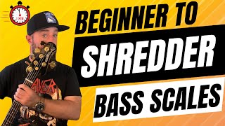 Beginner to Shredder Bass Guitar Scales [upl. by Aerdnat]