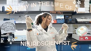 A Day in the Life of a Neuroscientist  VLOG [upl. by Salazar]